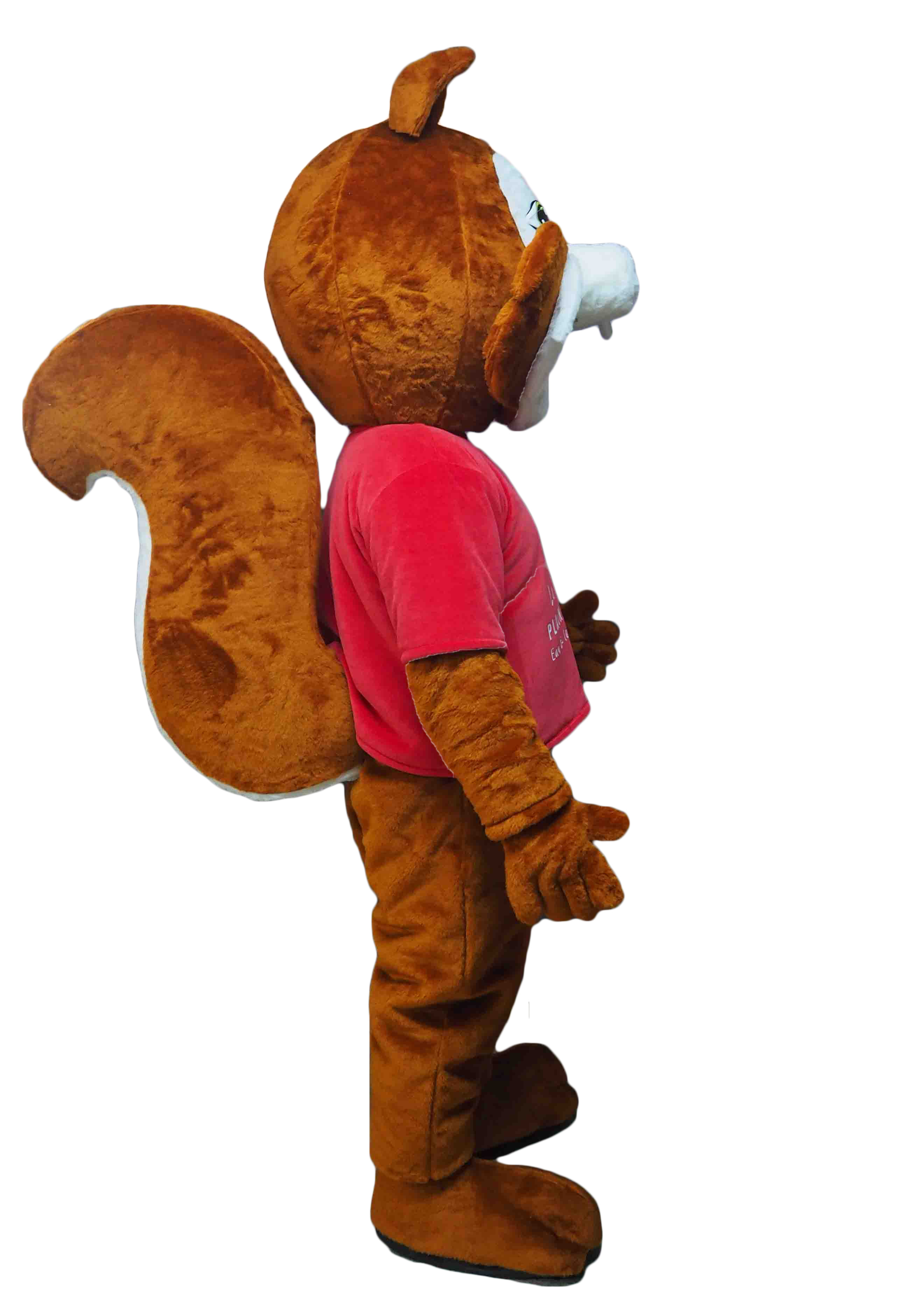 MASCOTTE ECUREUIL - LA PLAINE TONIQUE