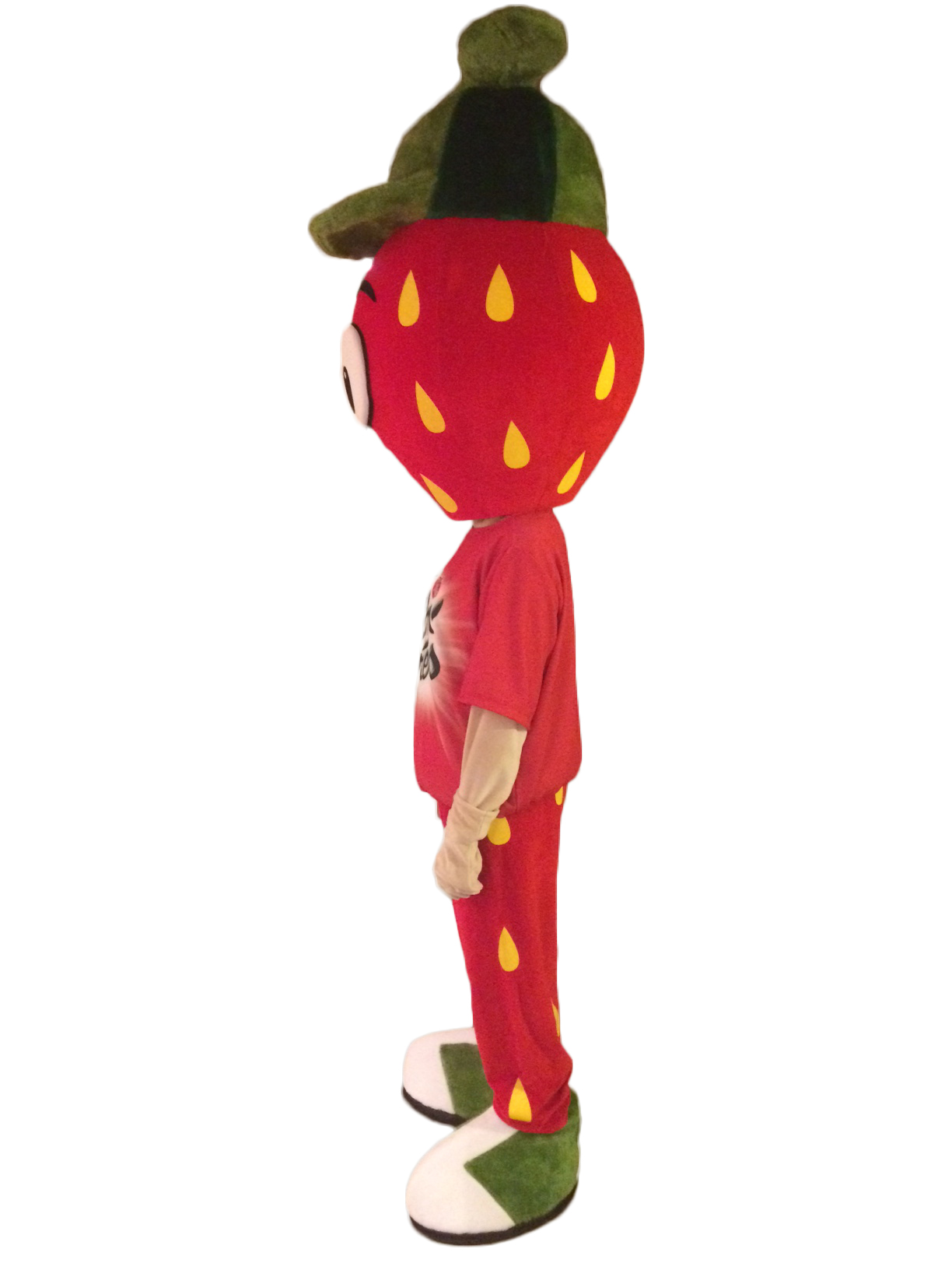 MASCOTTE POM'POTES - MATERNE