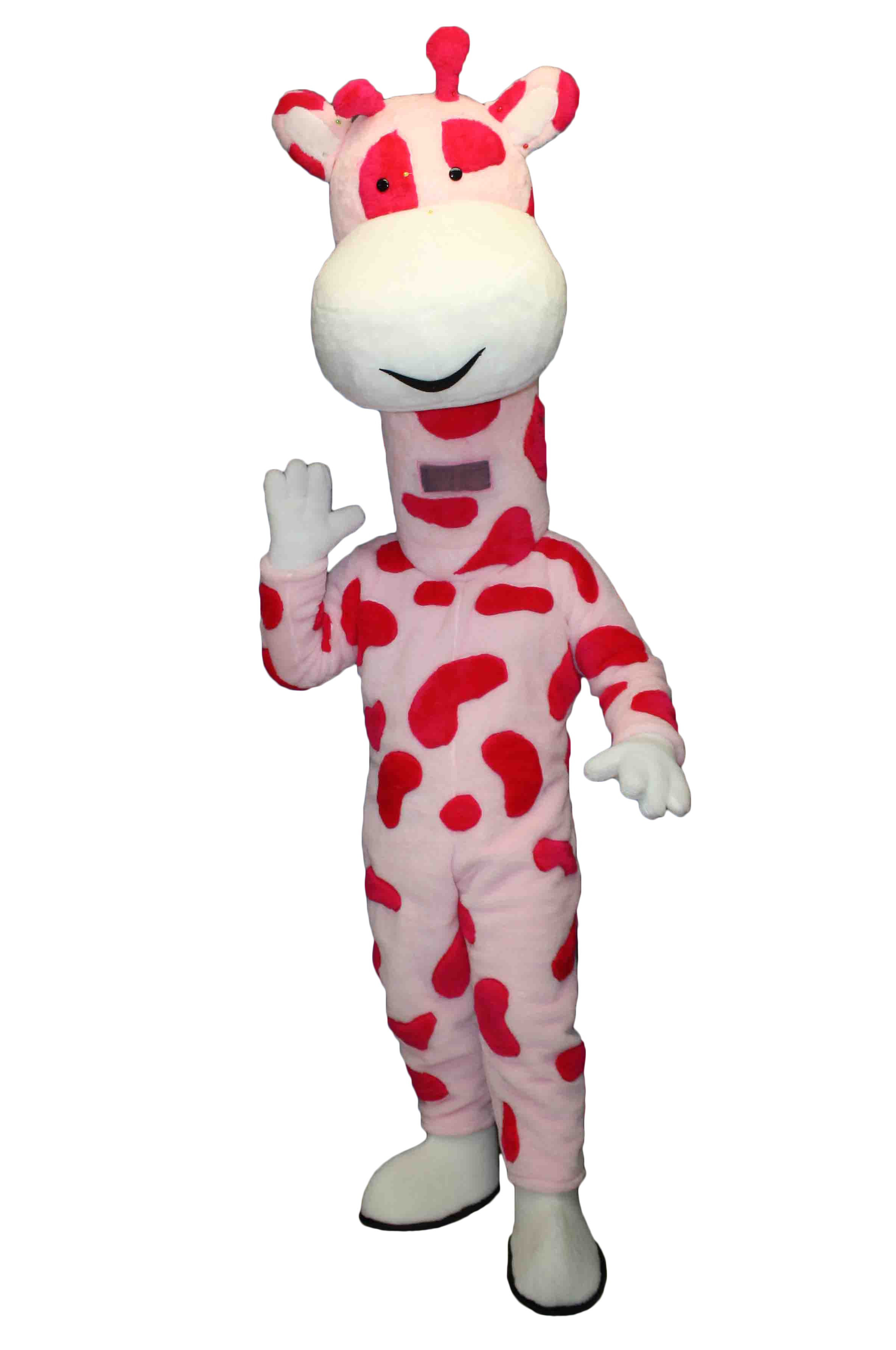 MASCOTTE PATAPAIN