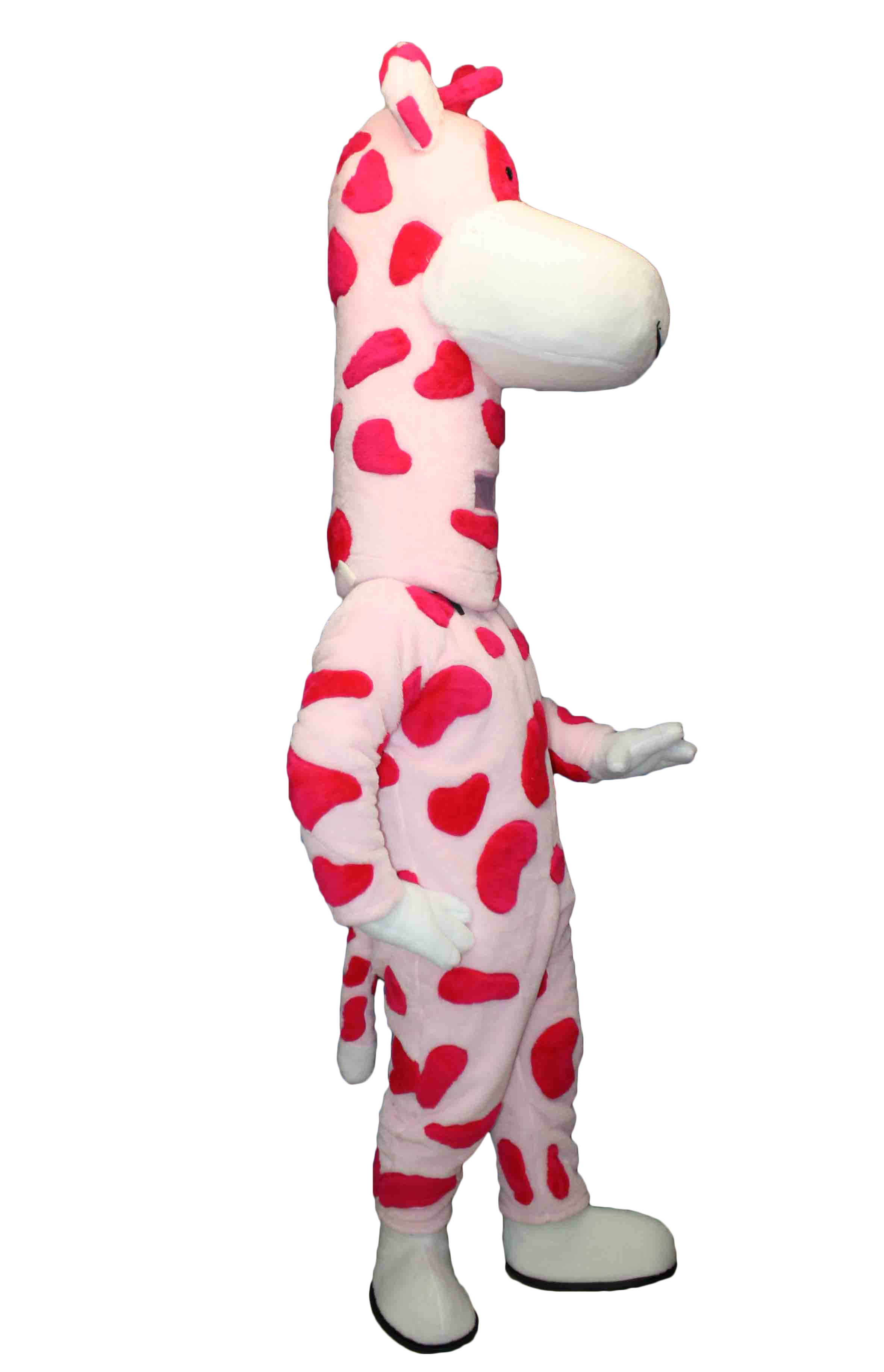 MASCOTTE PATAPAIN