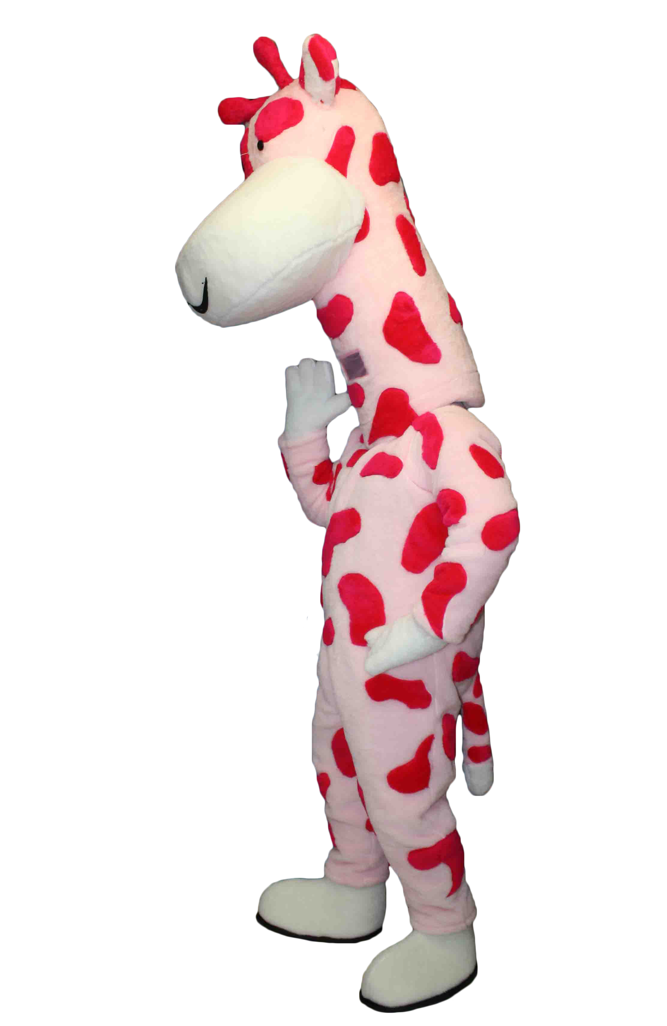 MASCOTTE PATAPAIN