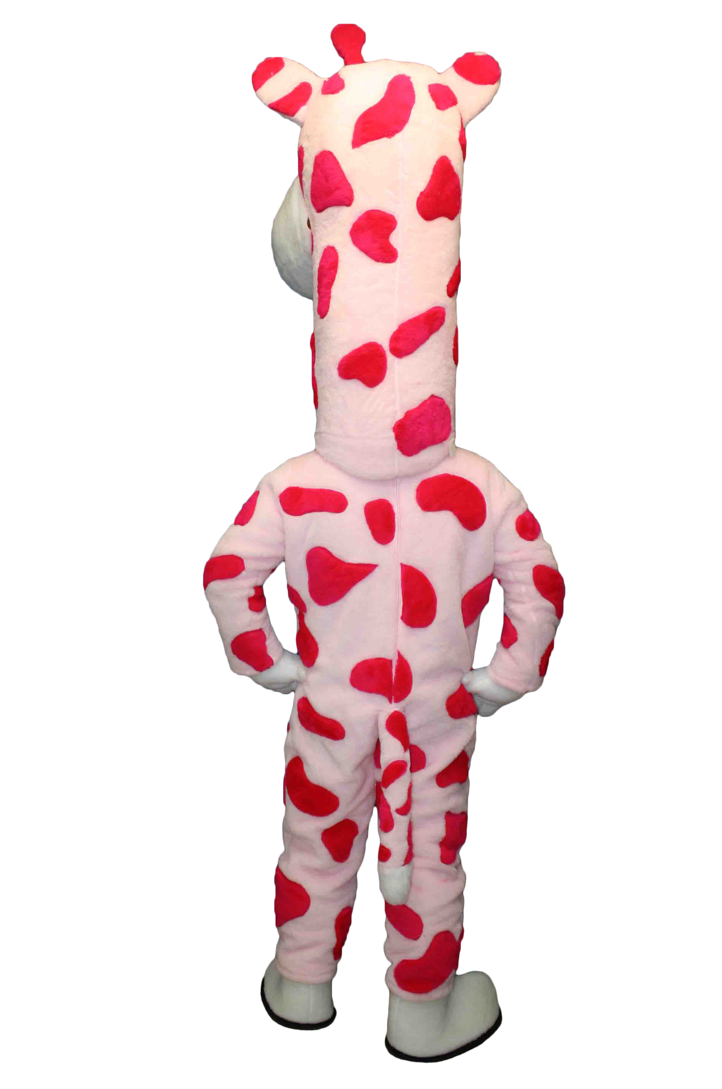 MASCOTTE PATAPAIN