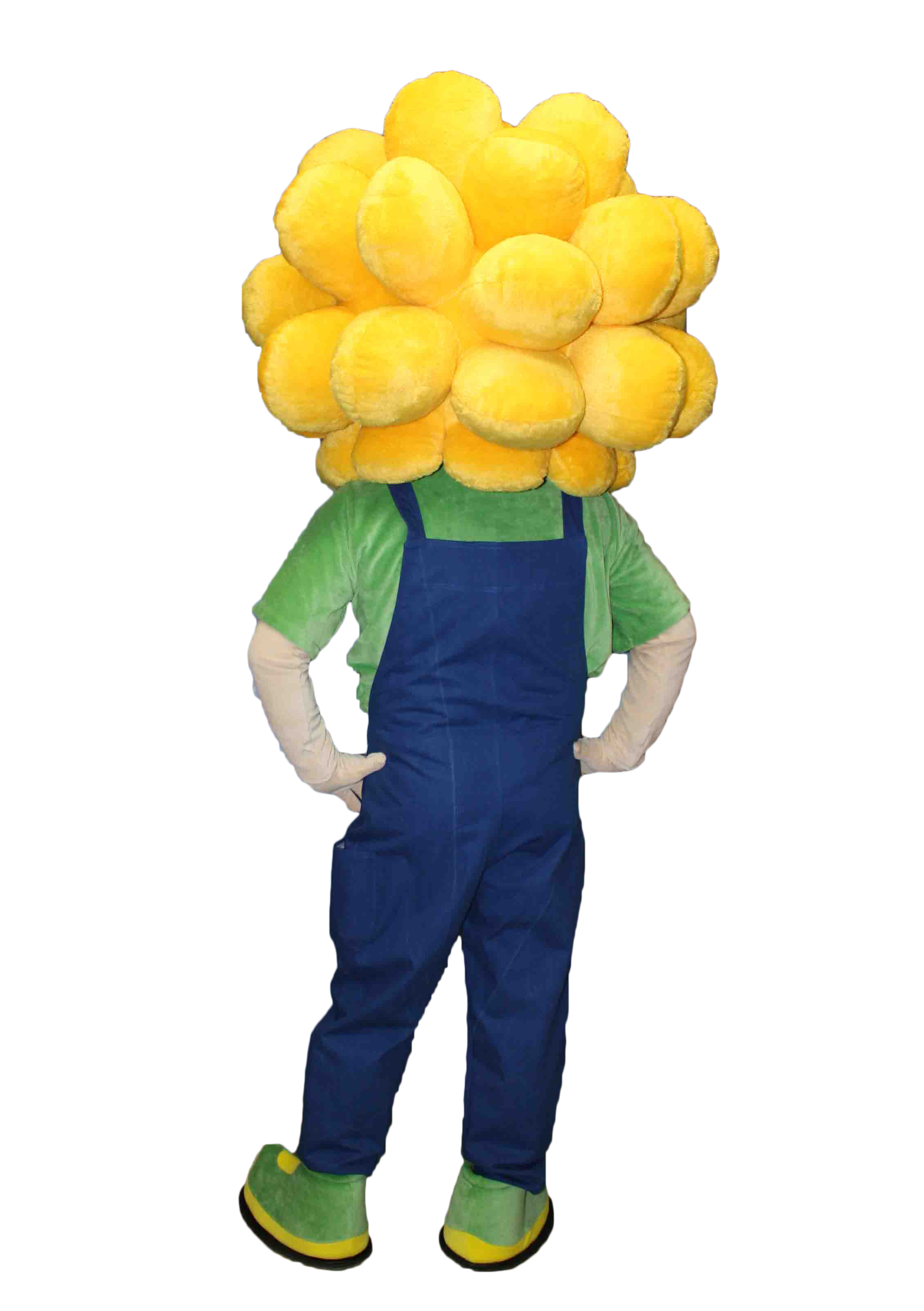 MASCOTTE LES TERRES DE JIM