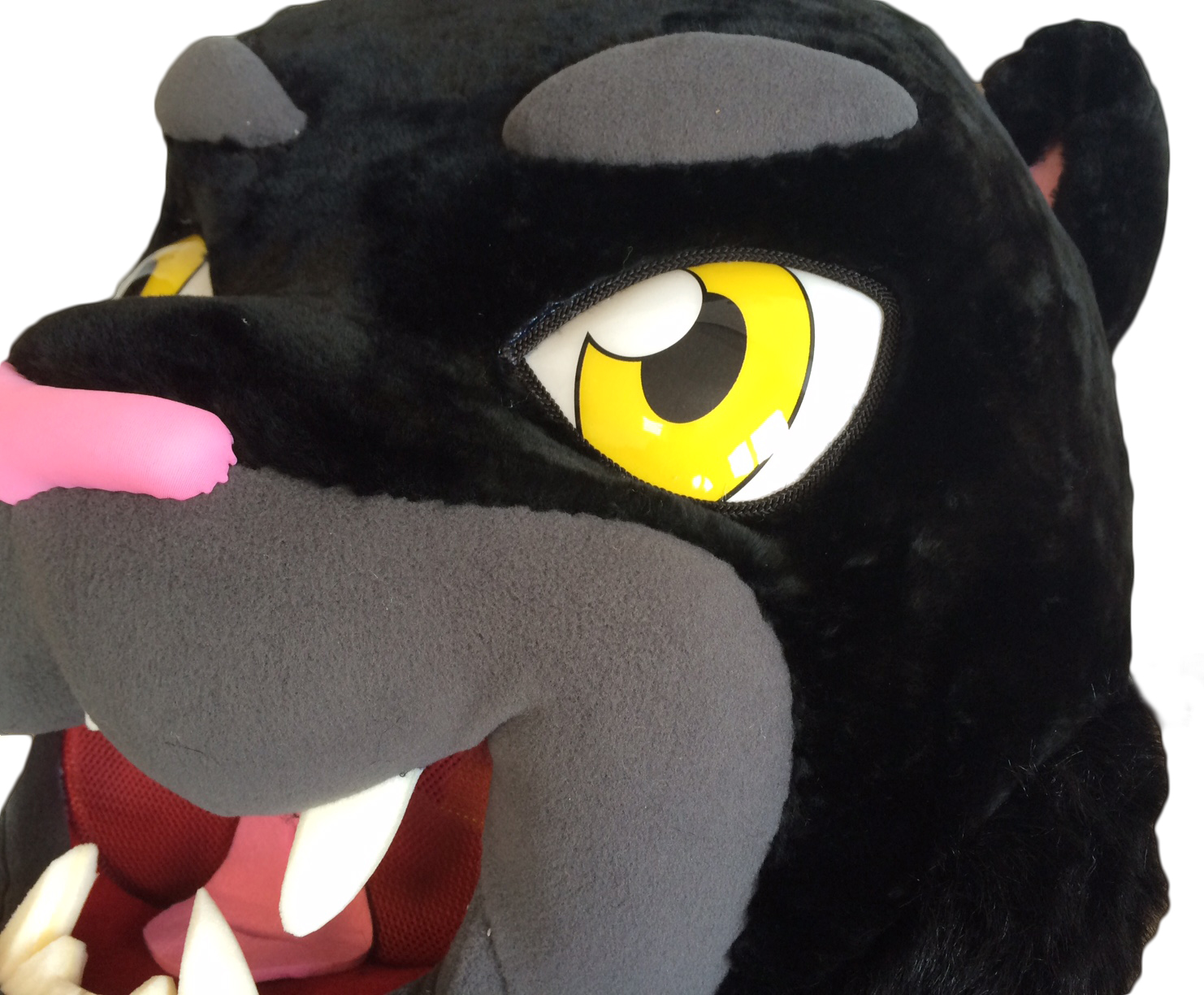 MASCOTTE OFFICIELLE SAMBA DE LA CAN 2017