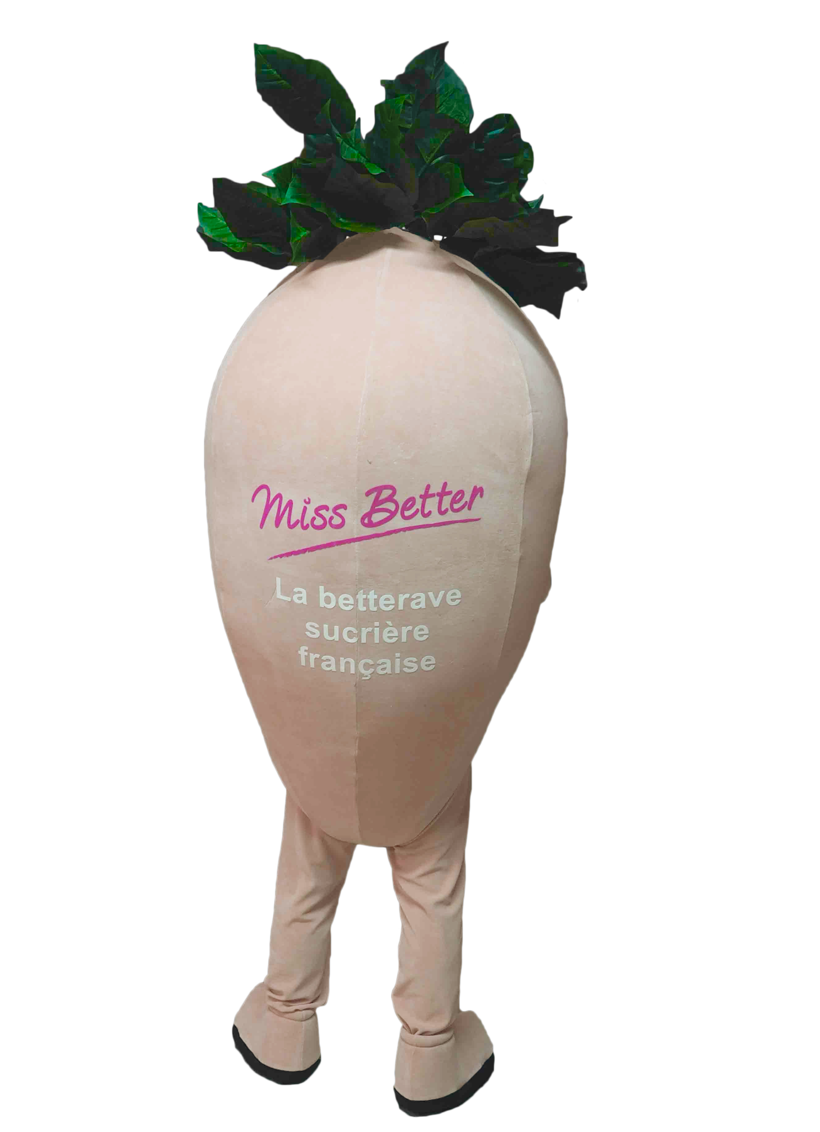 MASCOTTE MISS BETTER