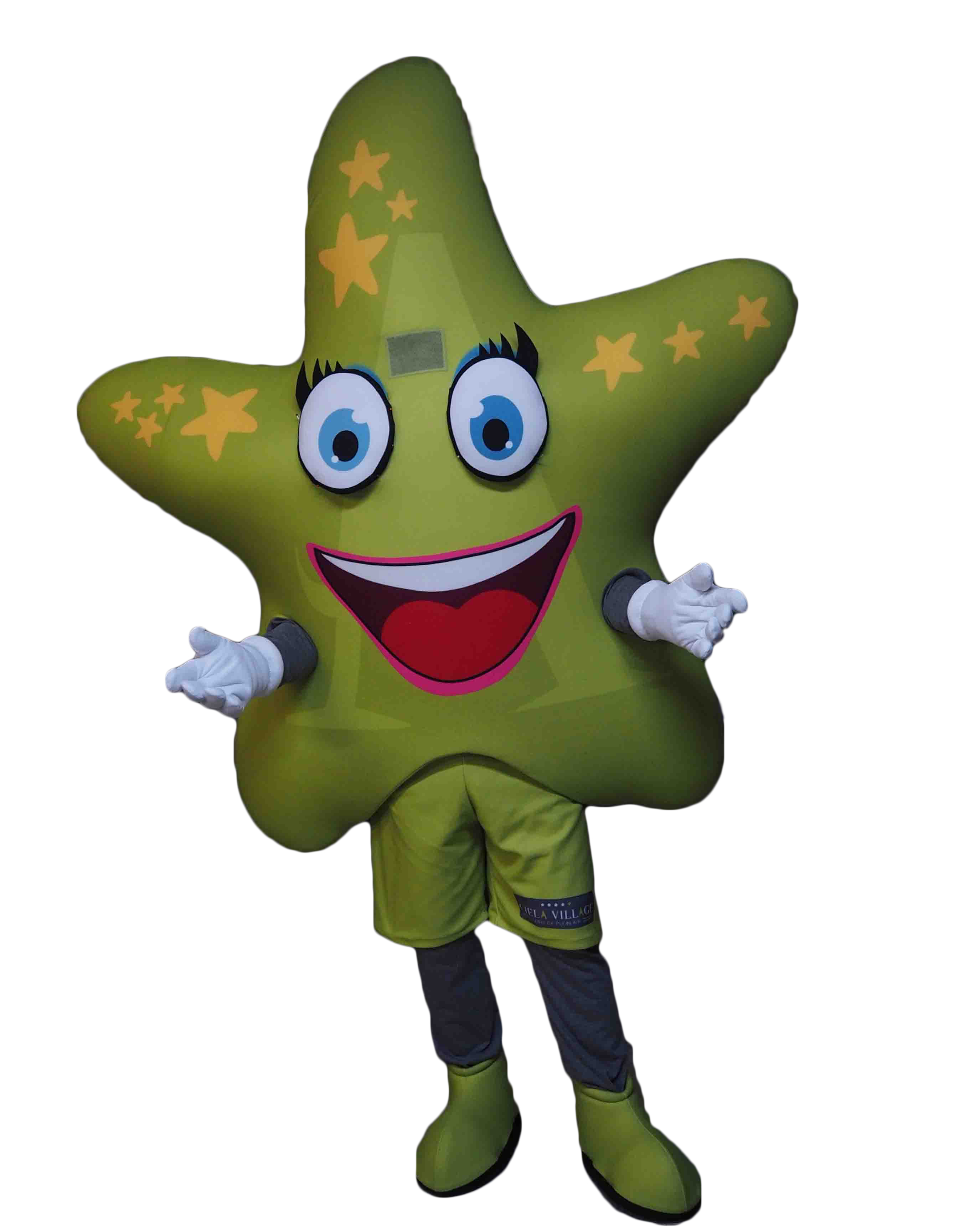 MASCOTTE ETOILE DE MER CAMPINGS CIELA