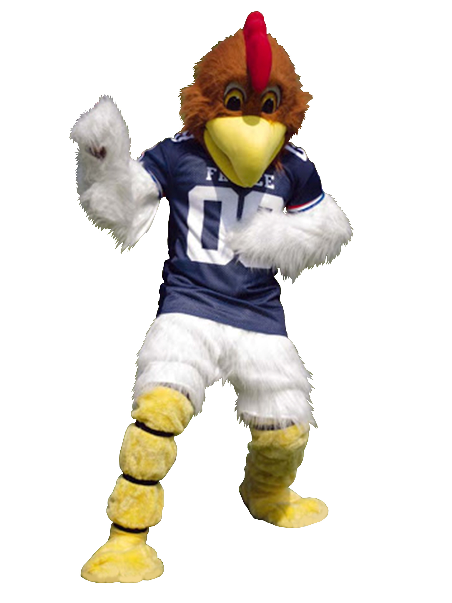 MASCOTTE COQ FEDERATION FRANCAISE DE FOOTBALL AMERICAIN
