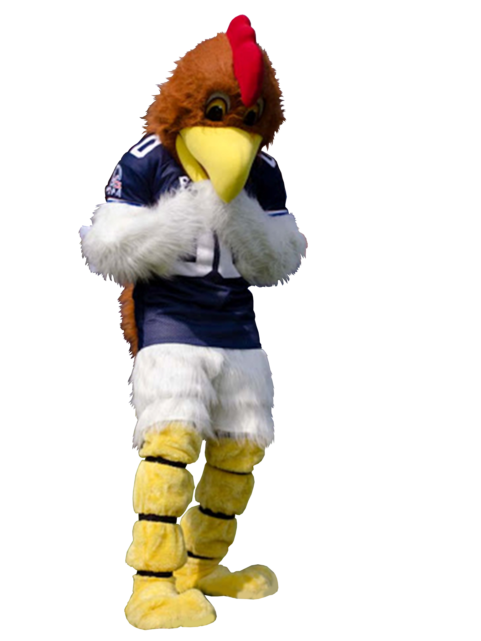 MASCOTTE COQ FEDERATION FRANCAISE DE FOOTBALL AMERICAIN