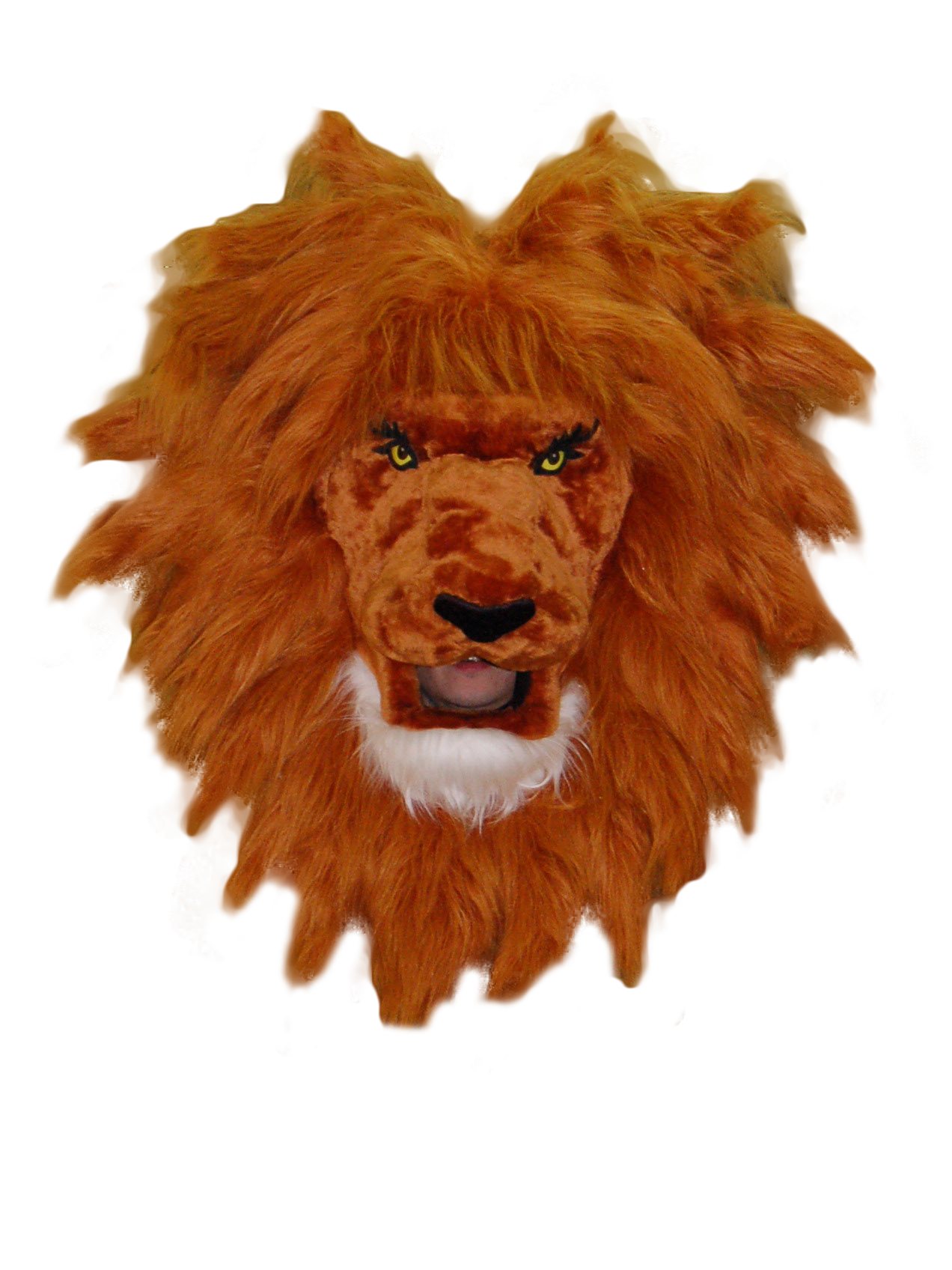 MASCOTTE TYSON BOYS FLEURY 91