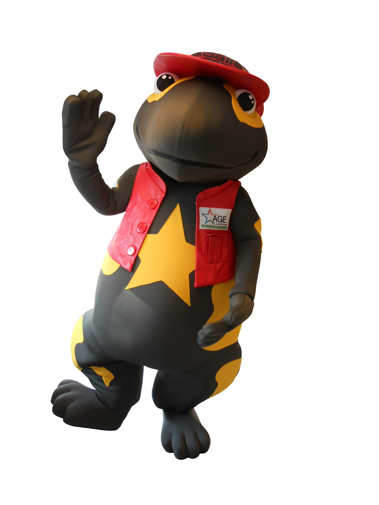 MASCOTTE ASSOCIATION AGE