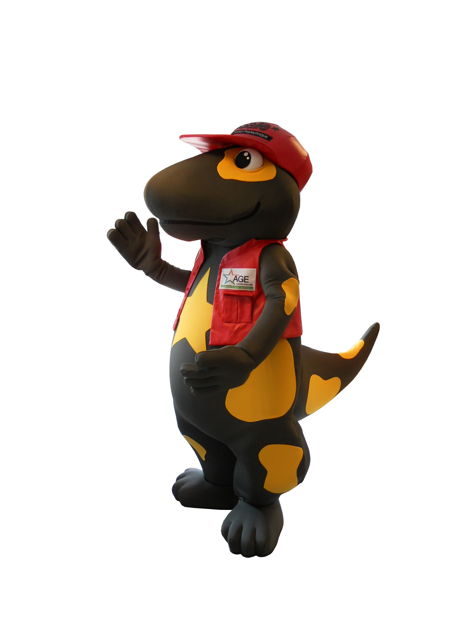 MASCOTTE ASSOCIATION AGE