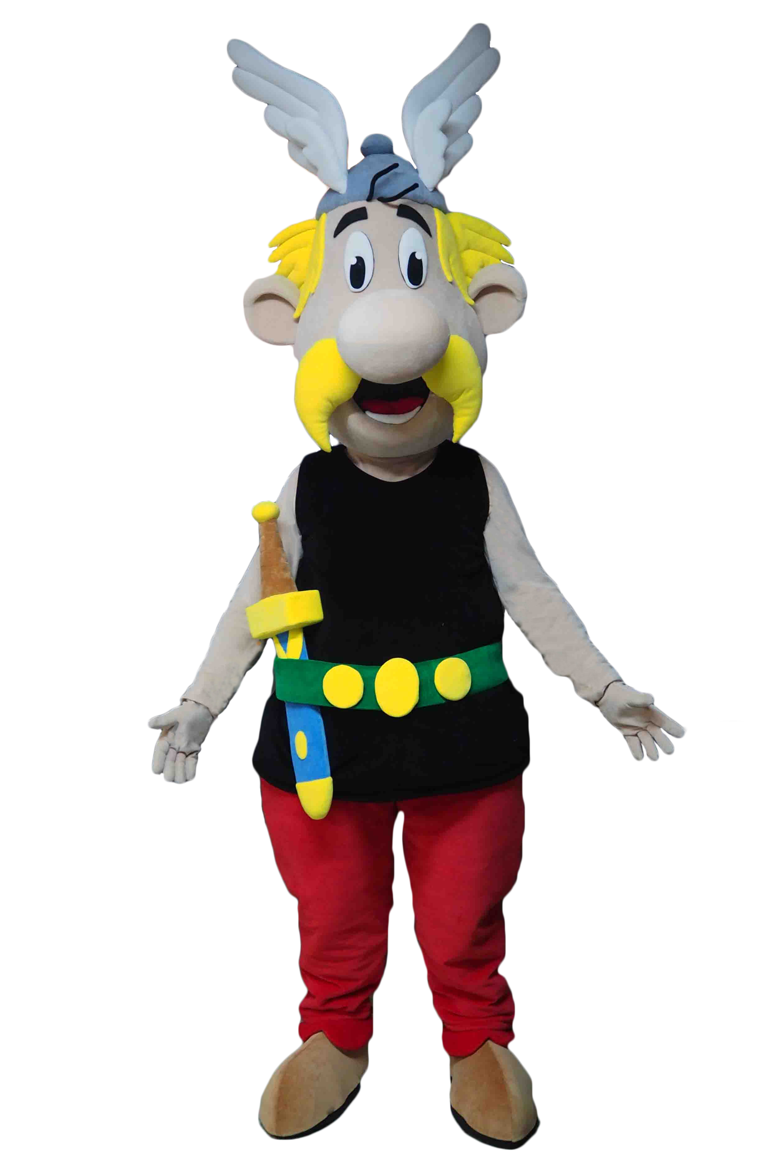 MASCOTTE ASTERIX - CED