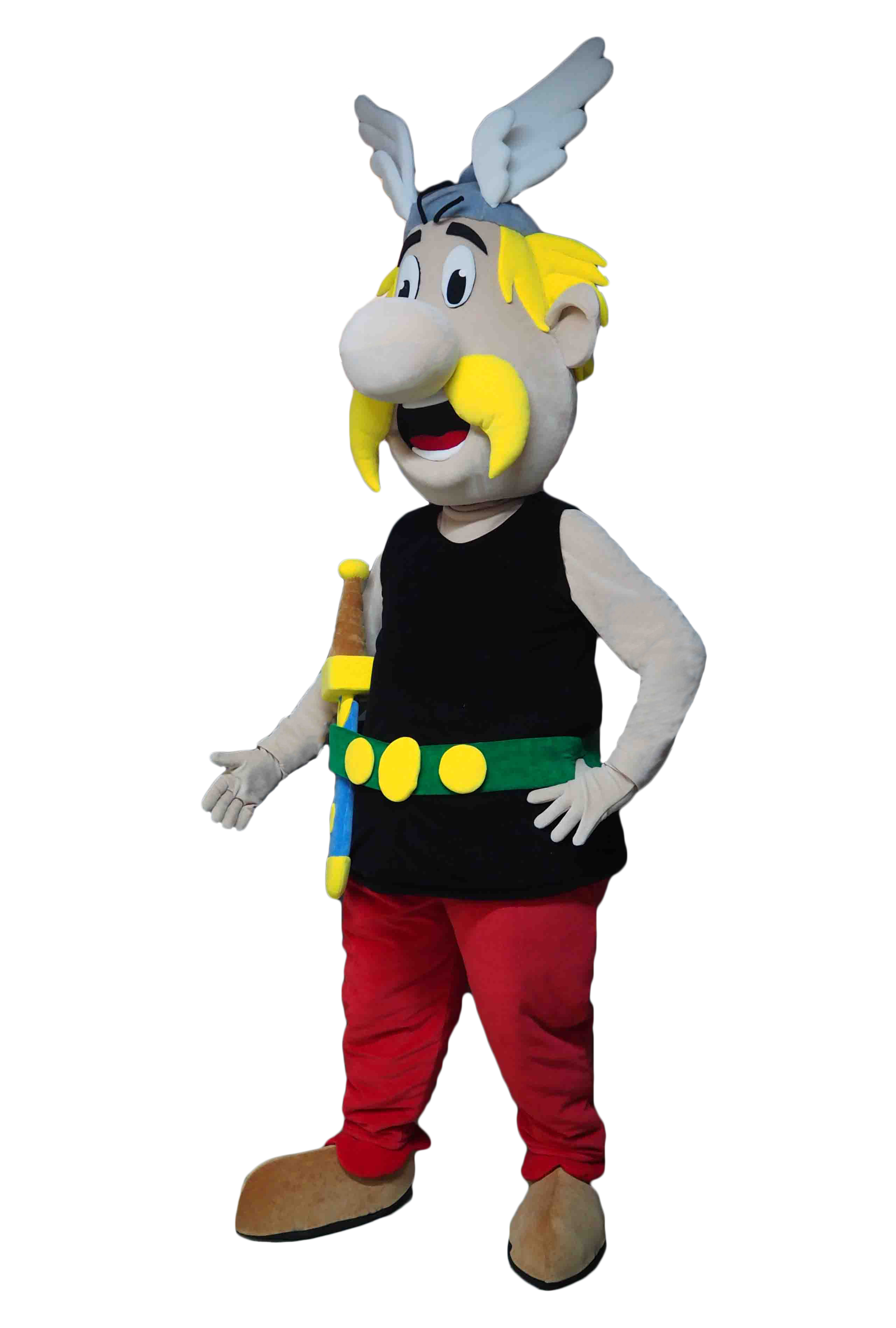 MASCOTTE ASTERIX - CED
